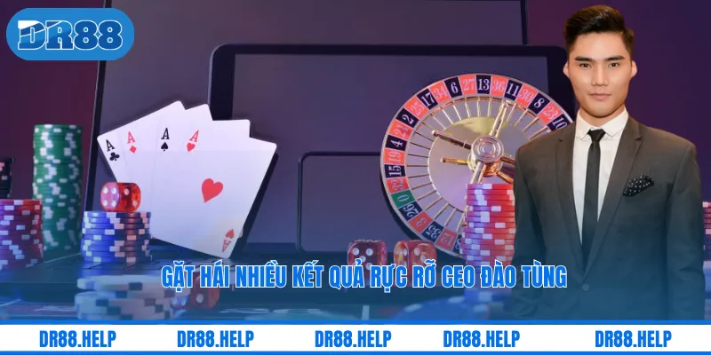 Gặt hái nhiều kết quả rực rỡ CEO Đào Tùng