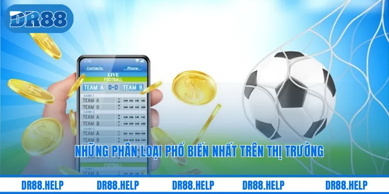 Những phân loại phổ biến nhất trên thị trường